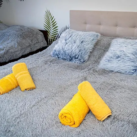 Tiger Deluxe Apartment