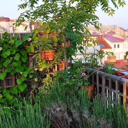 Gasthuis Guestrooms, Rooftop With Garden, Spacious Living Room, Character And Fireplace