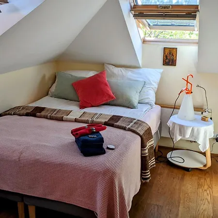 Guestrooms, Rooftop With Garden, Spacious Living Room, Character And Fireplace Gasthuis