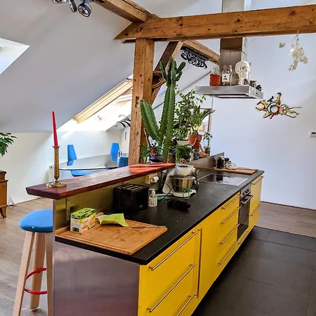 Guestrooms, Rooftop With Garden, Spacious Living Room, Character And Fireplace Gasthuis *