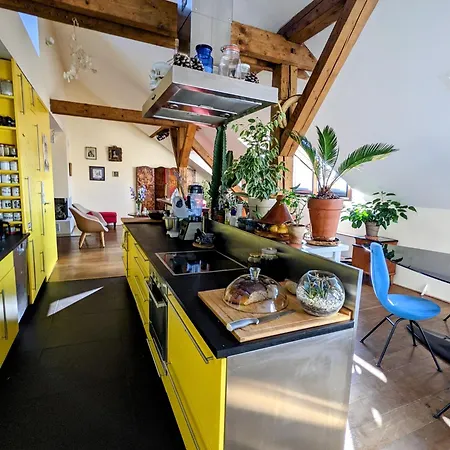 Gasthuis Guestrooms, Rooftop With Garden, Spacious Living Room, Character And Fireplace