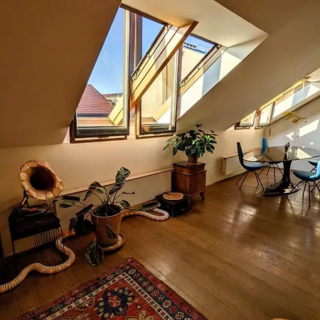 Gasthuis Guestrooms, Rooftop With Garden, Spacious Living Room, Character And Fireplace *