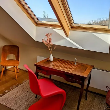 Guestrooms, Rooftop With Garden, Spacious Living Room, Character And Fireplace * Praag