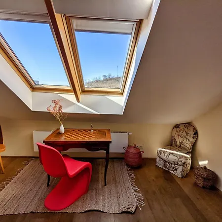 Gasthuis Guestrooms, Rooftop With Garden, Spacious Living Room, Character And Fireplace Praag