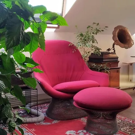 Guestrooms, Rooftop With Garden, Spacious Living Room, Character And Fireplace Gasthuis