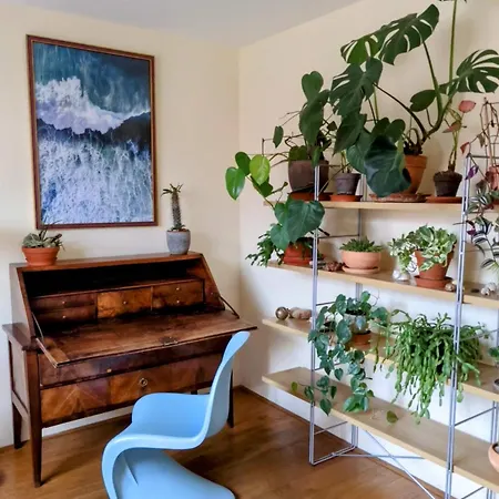 Gasthuis Guestrooms, Rooftop With Garden, Spacious Living Room, Character And Fireplace Praag