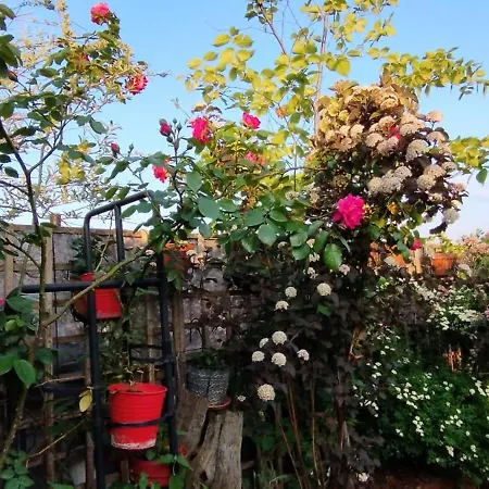 Guestrooms, Rooftop With Garden, Spacious Living Room, Character And Fireplace * Praag