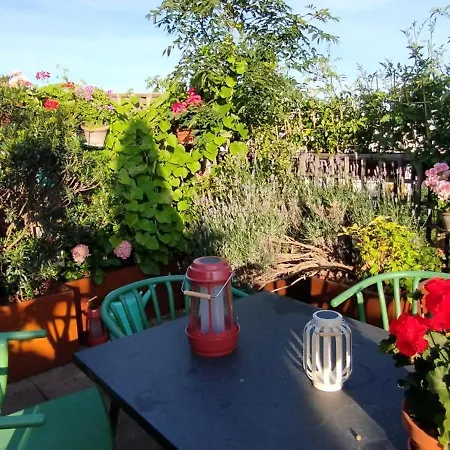 Gasthuis Guestrooms, Rooftop With Garden, Spacious Living Room, Character And Fireplace