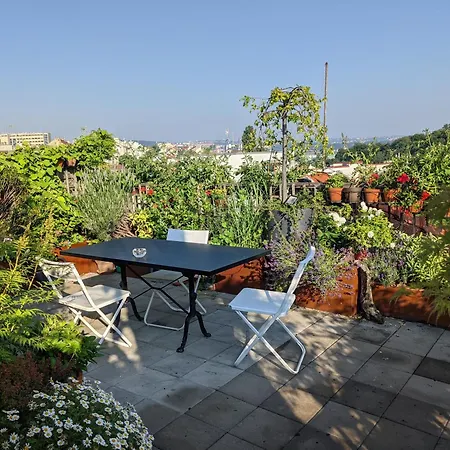 Guestrooms, Rooftop With Garden, Spacious Living Room, Character And Fireplace Gasthuis