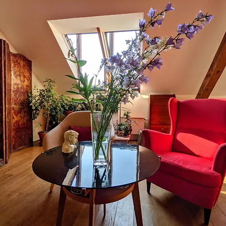 Guestrooms, Rooftop With Garden, Spacious Living Room, Character And Fireplace Praag