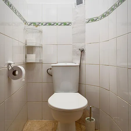 Golden Lion Apartment Prague