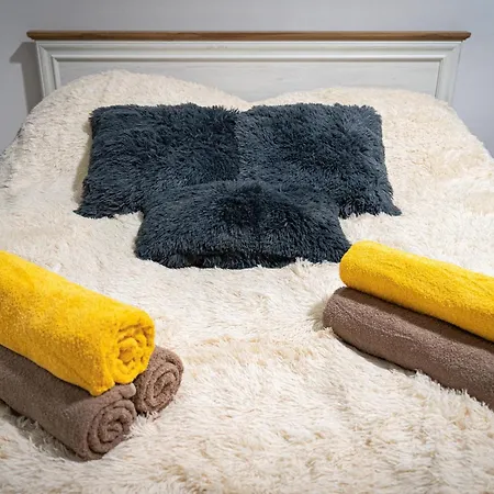 Golden Lion Apartment *