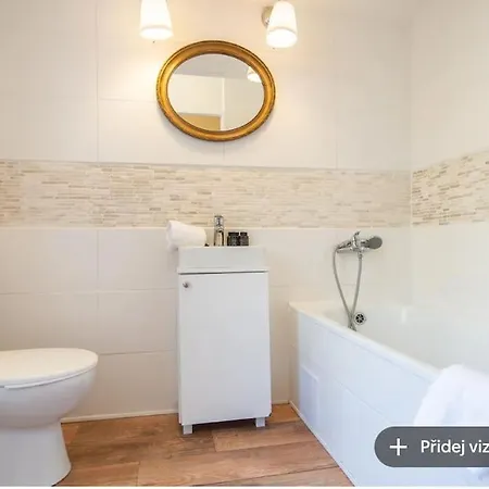 One Bedroom In Zizkov Apartment *
