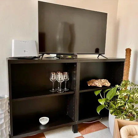 Apartamento Museum *