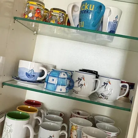 Homestay Guest House