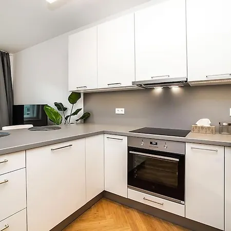 Amazing Two-bedroom With Terrace Prague