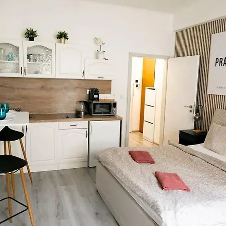 Benedikt Apartment Prag