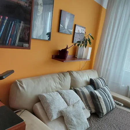 Nocleh Petrovice Homestay
