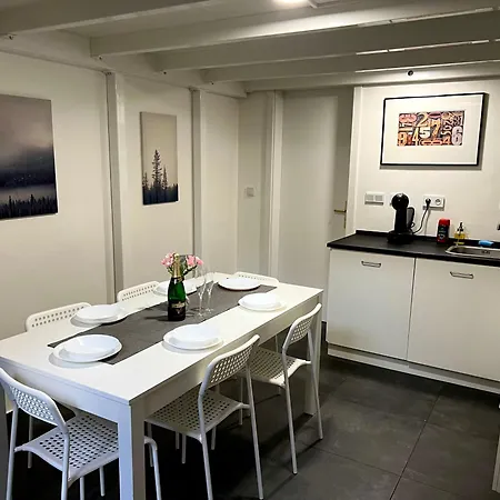 Apartmán Opletalova 1min From Wenceslas Square