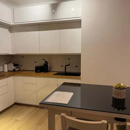 V Nove Rezidenci Apartment