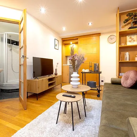 Apartment The Wenceslas Loft Prague
