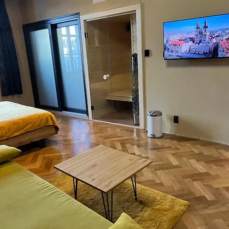 Apartment Wenceslas Square 150 M2 Prague