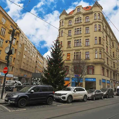 Apartment Large-elegant-central-terrace