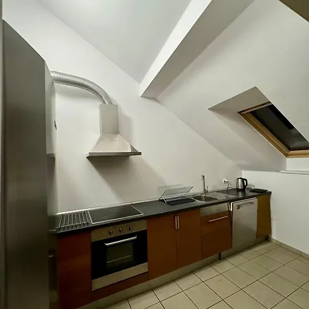 Apartment Dalimilova *