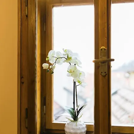 Apartment U Krale Brabantskeho