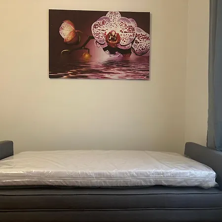 Star 2 Apartment *