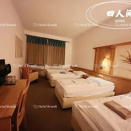 Braník Hotel Praga