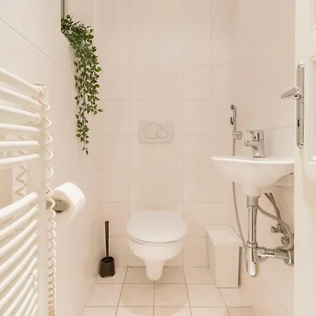 Large аpartment In The Center Of Prague. Apartment *