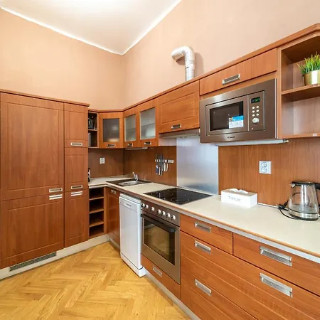 Large аpartment In The Center Of Prague.