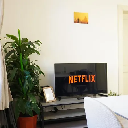 Flat With Balcony And Garage Apartment *