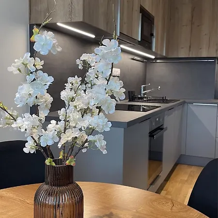 Modern Stylish With Private Garage Apartment *