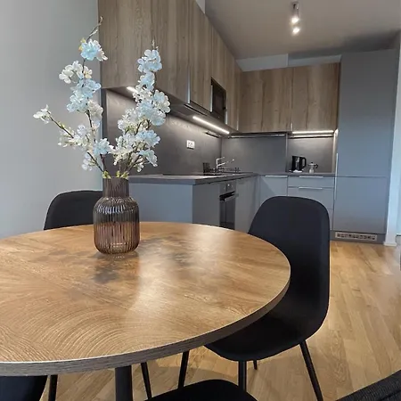 Apartment Modern Stylish With Private Garage