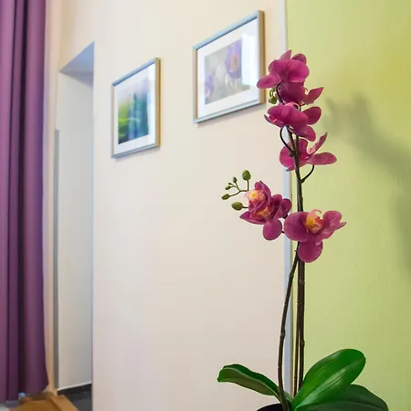 Apartamento Jindrisska 25