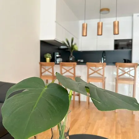 With Garage & Terrace Apartment