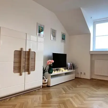 Modern In The Centre Apartment