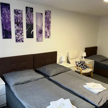 Hajek Guest house