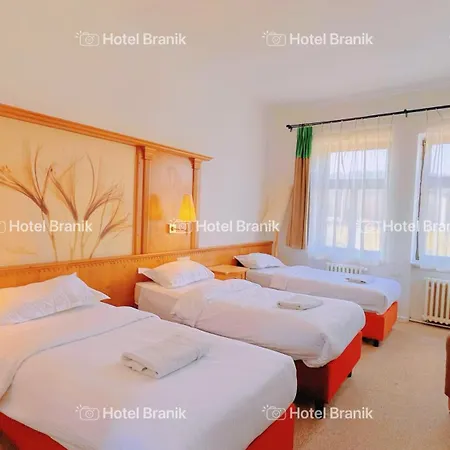 Branik Hotel 3*