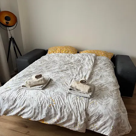Apartment Spacious Flat Near Center *