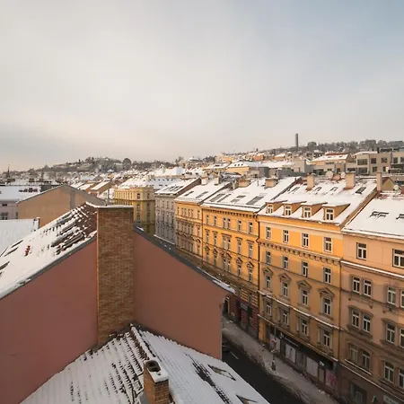 Mymozart By Rentez * Prague