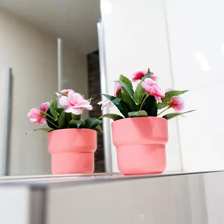 New! Romantic Apartment! In Centre! Florence! *
