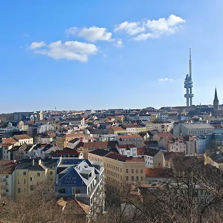 Flat In Zizkov -303-