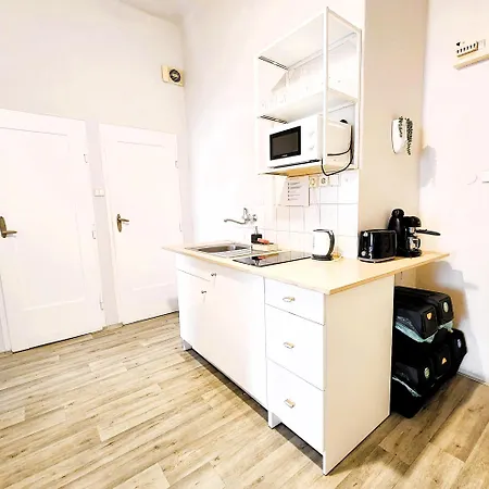 Apartment Flat In Zizkov -303- Prague