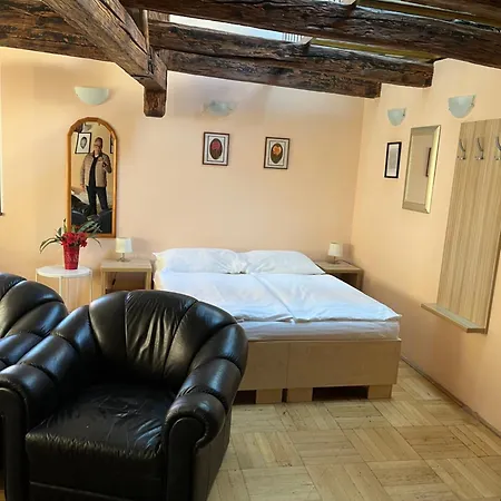 Apartmán U Vejvodů Praha