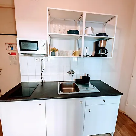 Flat In Zizkov -102- * Prague