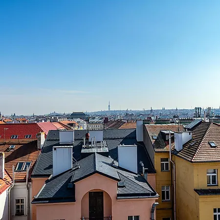Magic With Terrace Apartment