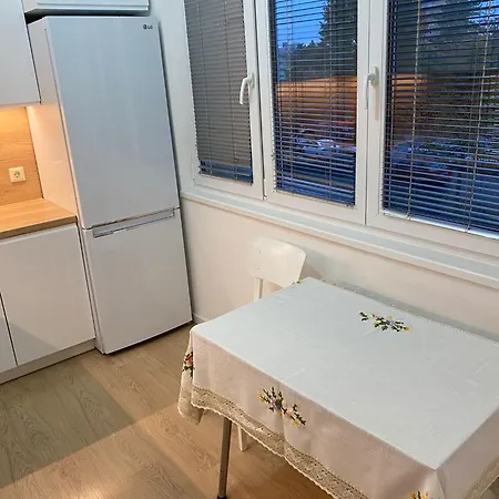 Accommodatie bij particulieren Near Center Flat Praag
